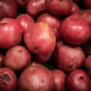 Fresh red potatoes are piled together for sale.